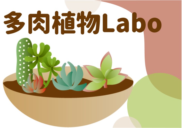 cook 今日なに作ろ？